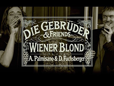 die gebrüder & friends + wiener blond + a. palmisano & d. fuchsberger, ausschnitt 23.5.2025, orf III