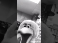 Ed Sheeran Photograph Ft Big Bird