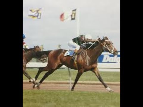 1984 MRC Underwood Stakes