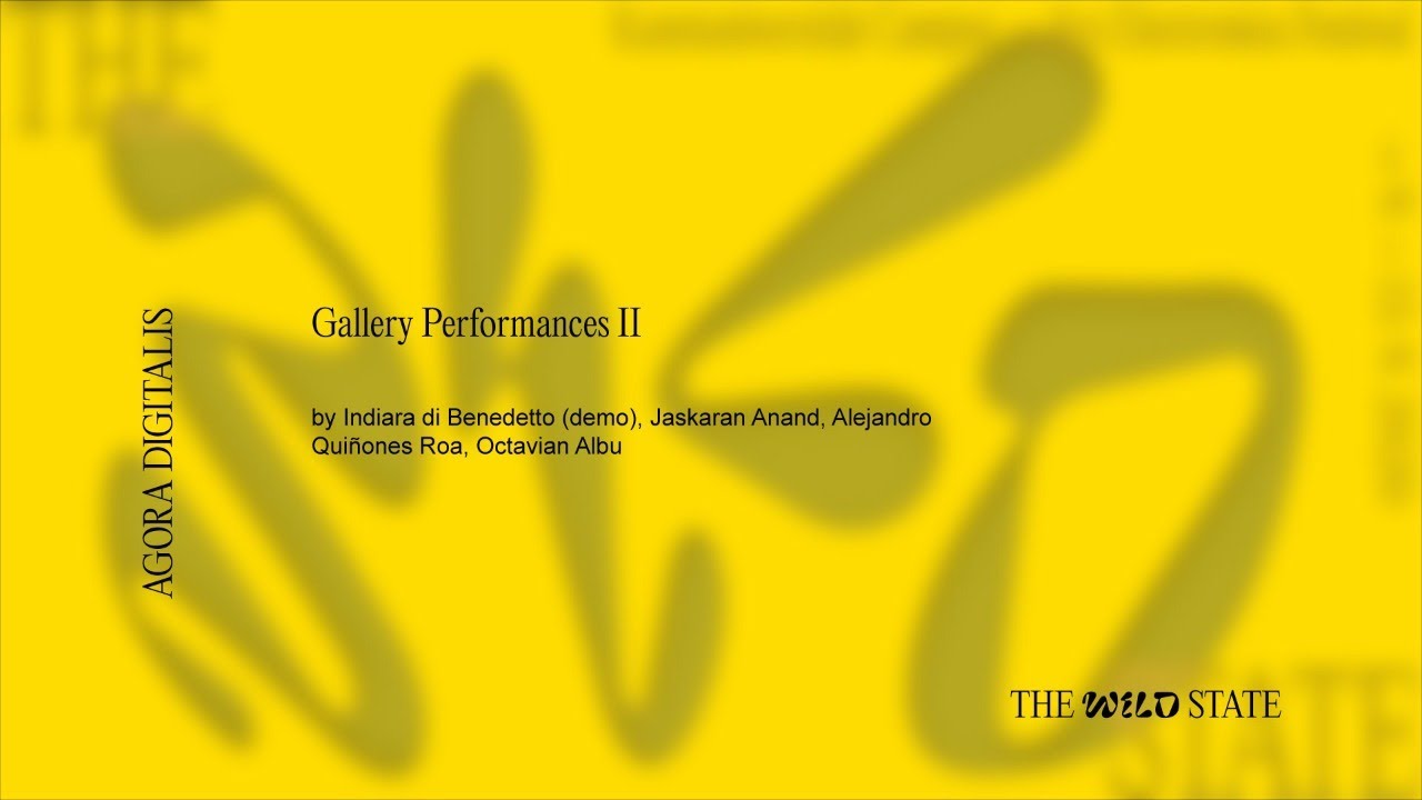 AGORA DIGITALIS: Gallery Performances II