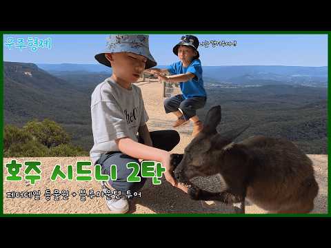 우주형제 시드니여행2탄 : 페더데일동물원에서 만난 귀염둥이 캥거루와 블루마운틴의 숨막히는 풍경