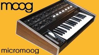 Video thumbnail for MOOG MICROMOOG Analog Synthesizer 1975 | HQ DEMO by AnalogAudio1