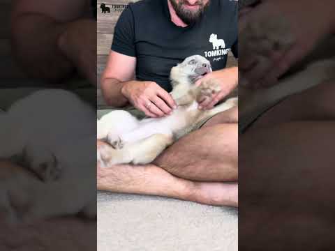 Video 2