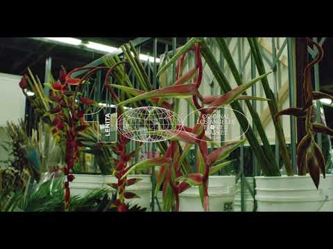 LENITA & OLAFM, 100 Years of Flores Teaser 1