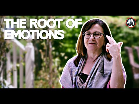 How Emotions are Made - Lisa Feldman Barrett Interview