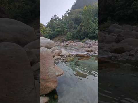 Jhalong, Bindu, Rocky Island #dooars #northbengal #viralshorts #shortsfeed #shorts #youtubeshorts
