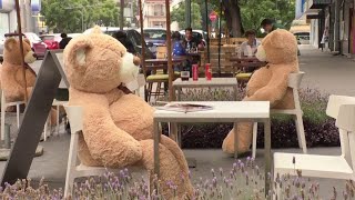 video: Watch: Giant cuddly teddy bears help customers socially distance