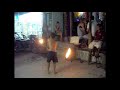 ️ Feuershow Clip Teil 4 Poi Jonglieren Thailand 2006 тайландия