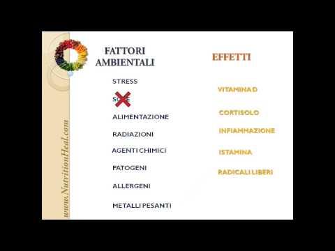 Unguenti nonormonali alleczema umido diventante Rituale da eczema