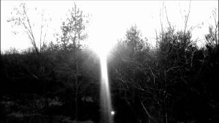 Salix Sepulcralis - Pillanatok