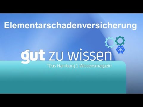 Erklärvideo Elementarschadenversicherung / Hamburg 1-Wissenssendung