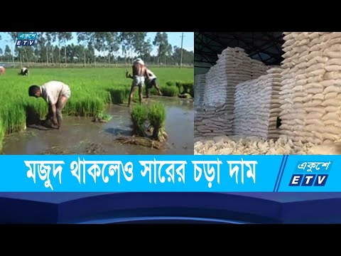 ঠাকুরগাঁওয়ে সারের কৃত্রিম সঙ্কট সিন্ডিকেটে জিম্মি চাষিরা