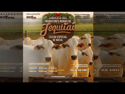 Leilão do Sindicato Rural de Jequitaí  ESPECIAL DE NATAL