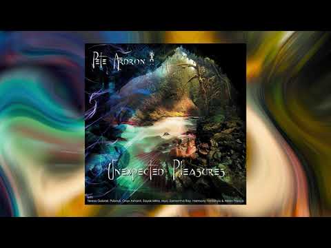 Pete Ardron - Unexpected Pleasures (Psy / Ethno / Chill ) [Full Album]