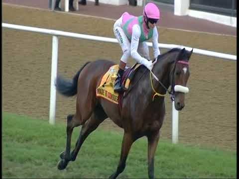 SuperSport Coverage - 2018 Festival of Racing - Greyville Racecourse - 28 July 2018