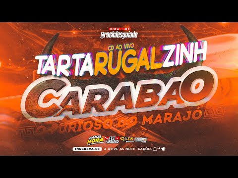 CARABAO SOFRÊNCIA EM TARTARUGALZINHO - AMAPÁ - DJ TOM MÁXIMO - FEST PARAENSE