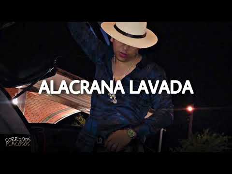Chicho Castro - Alacrana Lavada (Corridos 2020)