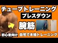 【腕】立体的な腕を作る、二の腕引き締め!初心者向けチューブトレーニング