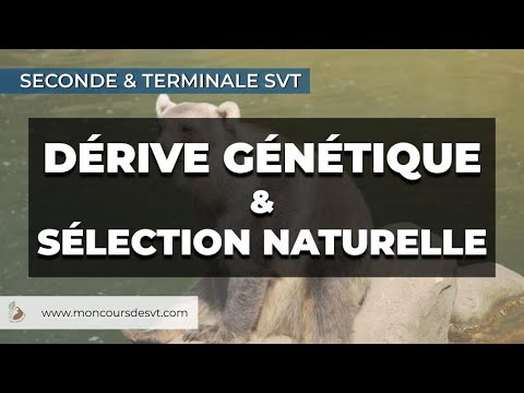 Genetic drift and natural selection - Life and Earth Sciences - 10th & 12th grade