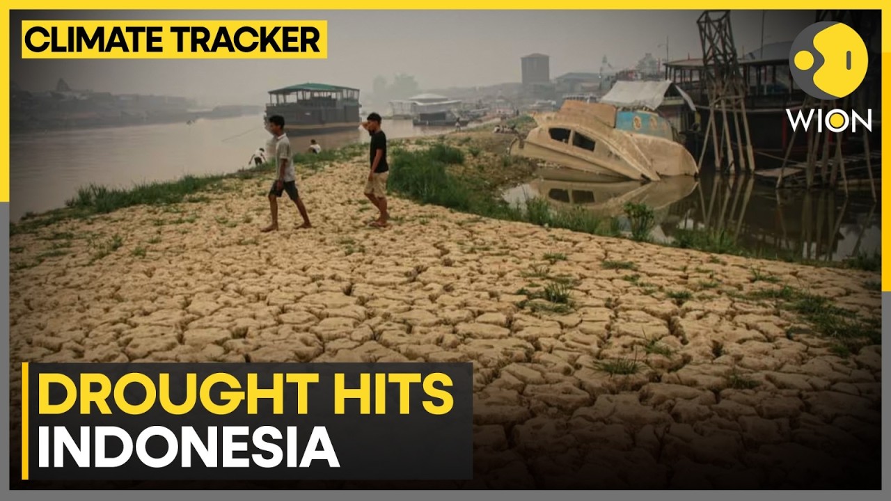 El-Nino Powered Drought Hits Indonesia | WION Climate Tracker