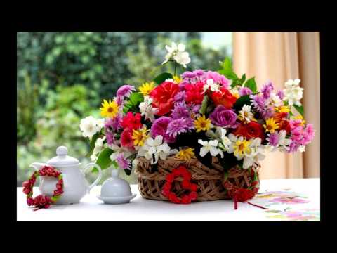 alexandra joner feat mohombi -bottoms up