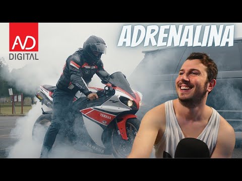 Stealth x Baseman - Adrenalina REACTION