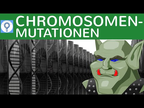 Chromosome Mutation: Duplication, Inversion, Deletion, Translocation, Insertion - 4 | Genetics
