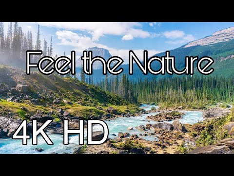 Horizon View bath with Beautiful nature - 4k VideoHD-