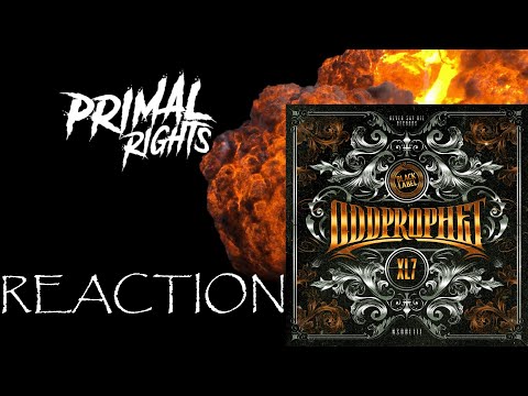 NEVER SAY DIE: BLACK LABEL "XL7" | REACTION