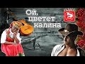 Ой, цветет калина. Новогодний Кантри кавер от PopMusicRu и участников гр ...