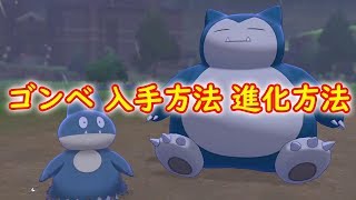 ゴンベ ポケットモンスター シャンデラ カムカメ フィオネ