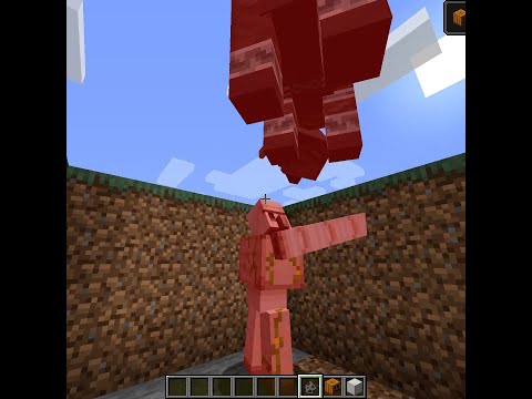 Iron Golem Vs Ravager In Minecraft...