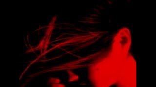 SPC ECO: Fallen Stars