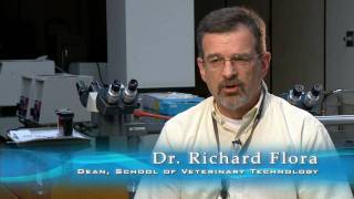 Bachelor's in Veterinary Technology - St. Petersburg College