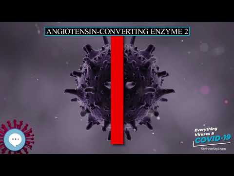 Angiotensin converting enzyme 2 🧫👩🏾‍⚕‍🤒 Everything Viruses & COVID-19 🤒👩‍⚕‍🧫