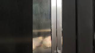 チキンぐるぐる