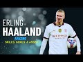 Erling Haaland - Crazy Goals, Skills & Assists - 2023/2024 HD
