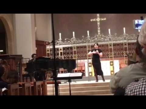 The Impossible Dream (Cover) - Johanna Lengyel