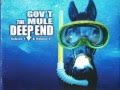 Gov't Mule - Fool's Moon