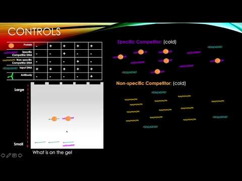 EMSA (Electrophoretic Mobility Shift Assay) Fig 5.36