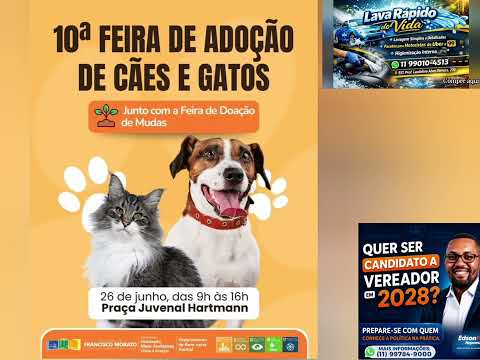 Últimas informações de Francisco Morato SP. 