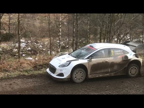 Malcolm Wilson Rally 2023, Grizedale Stage North