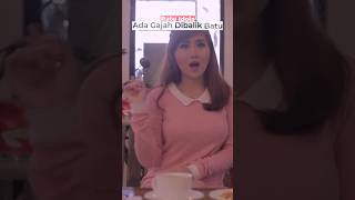 Download lagu Ada Gajah Dibalik Batu #shorts mp3 Download lagu Ada Gajah Dibalik Batu #shorts mp3