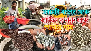 দেশের সর্ববৃহৎ পোনাবাজার থেকে সকল ক্যাটফিস ও কার্প জাতীয় মাছের পোনার দাম দর নিয়ে আজকের পর্ব।
