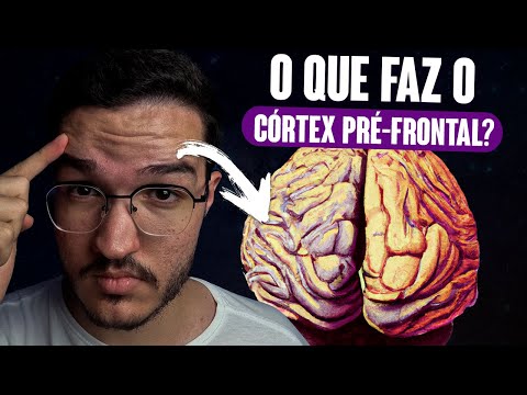 O que PRECISA SABER sobre o CÓRTEX PRÉ-FRONTAL!