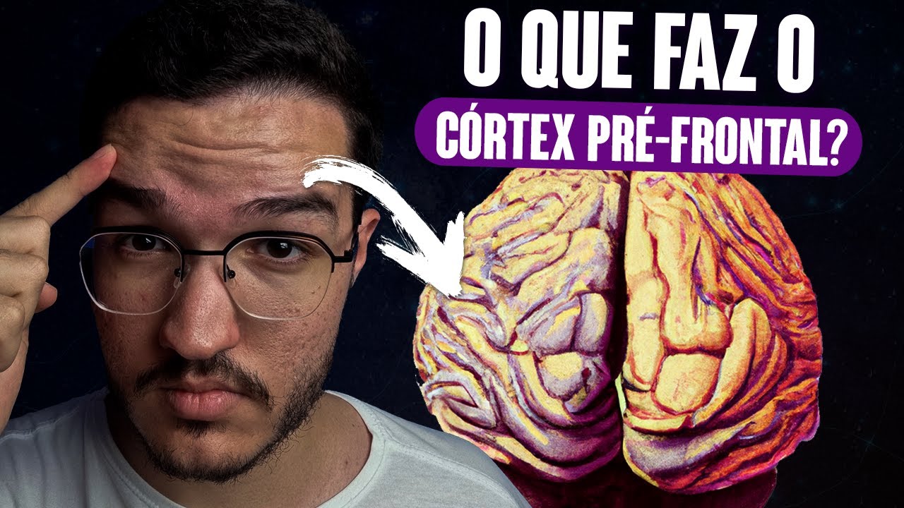 O que PRECISA SABER sobre o CÓRTEX PRÉ-FRONTAL!