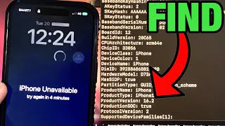 How To Check iOS Version on DISABLED/LOCKED iPhone / iPad! (ANY iOS)