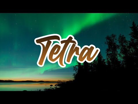 [FREE] West Coast x Bay Area "Tetra" | Type Beat 2019