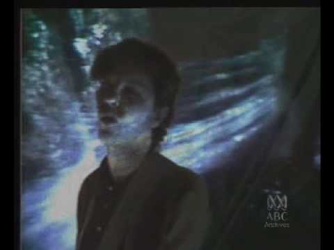 Chad's Tree: Crush The Lily 1985