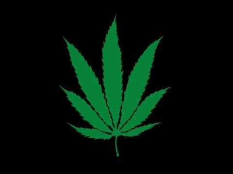 Lewy feat. C-zet - Jaraj (prod.BAM)